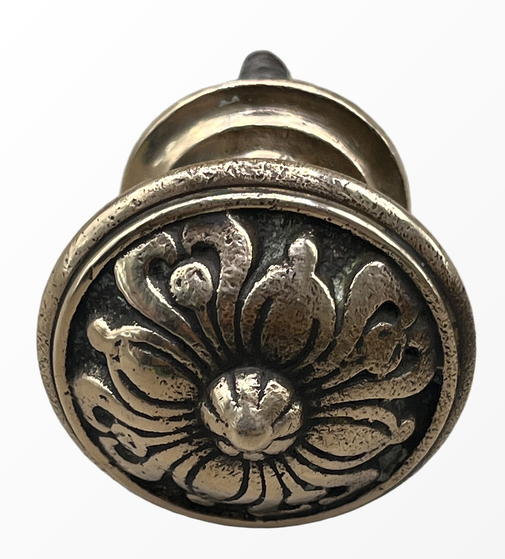 Möbelknauf Jugendstil aus Messing